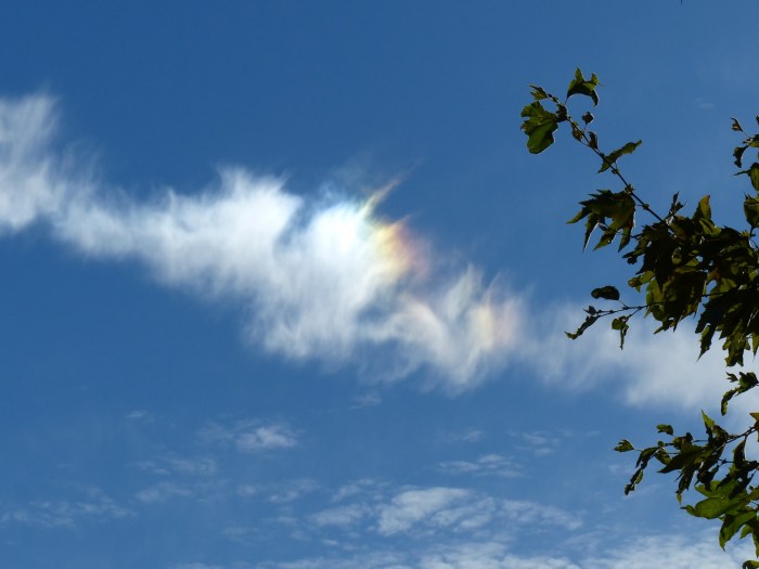 Cloud Flare Free Stock Photo - Public Domain Pictures