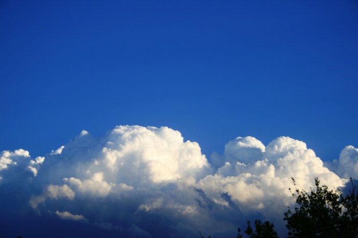 Large White Cumulus Cloud Free Stock Photo - Public Domain Pictures Large White Cumulus Cloud Free Stock Photo - Public Domain Pictures